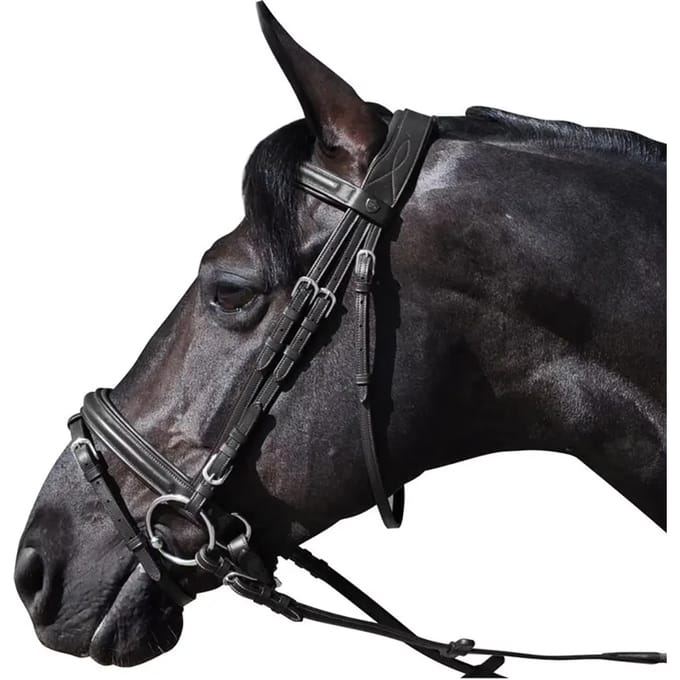 Hoofdstellen Flags&Cup Hickstead