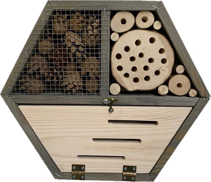 Insecten - Insectenhotel - Vlinderkast -hout- grijs- 1 stuk