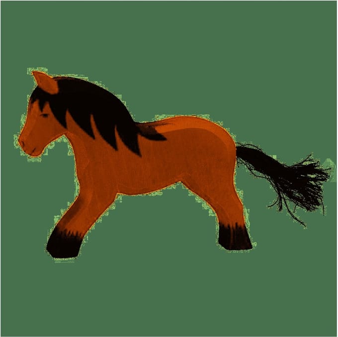 Ostheimer koudbloed paard 11118