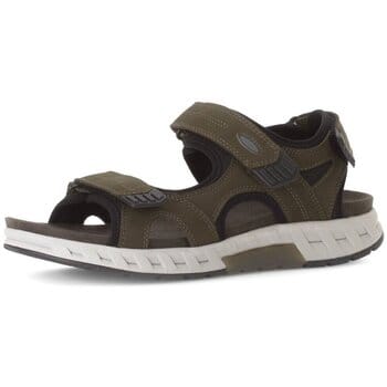 Wandelschoenen Pius Gabor -
