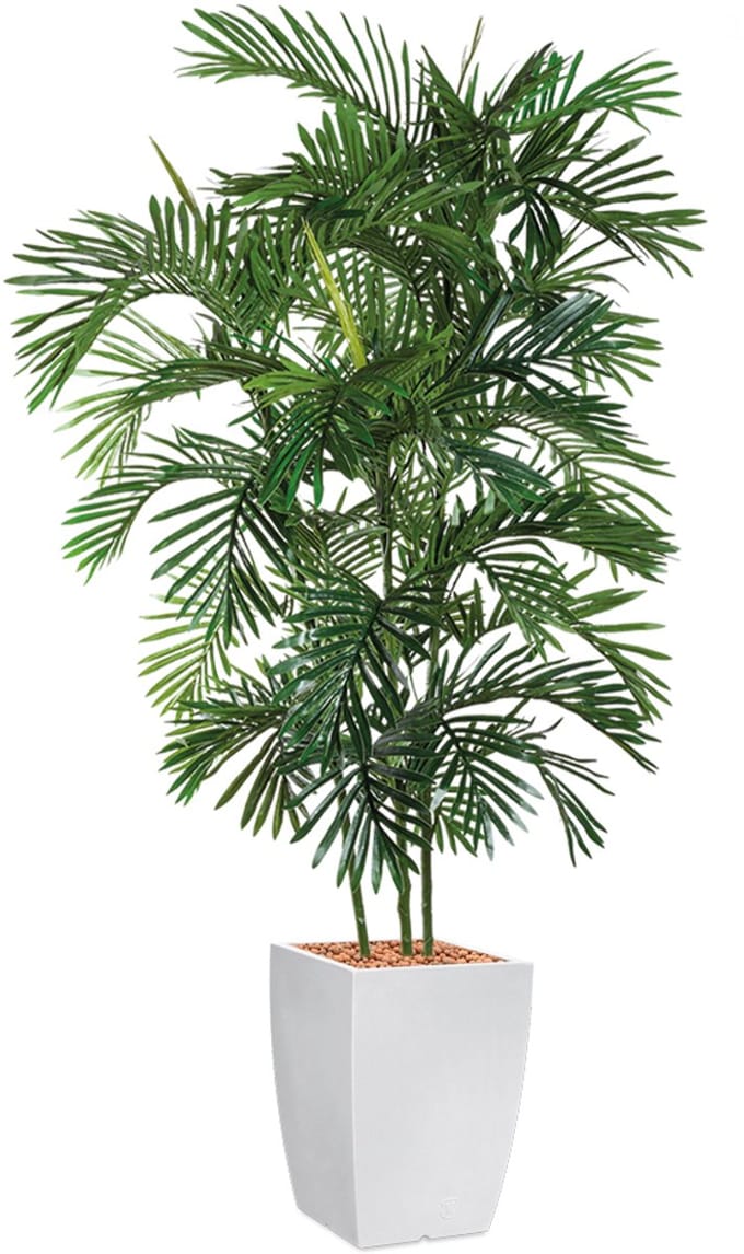 Kunstplant Areca palm in Genesis vierkant wit H190 cm