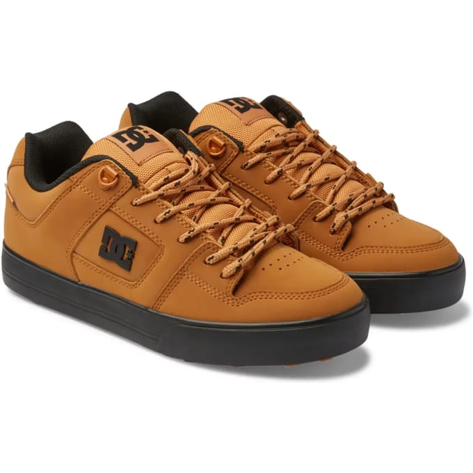 Trainers DC Shoes Pure Wnt