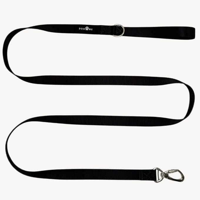 Solid - Zwart - Hondenriem - M- 2,5 cm breed - 2 m / 2 meter / 200 cm lang - Leiband hond