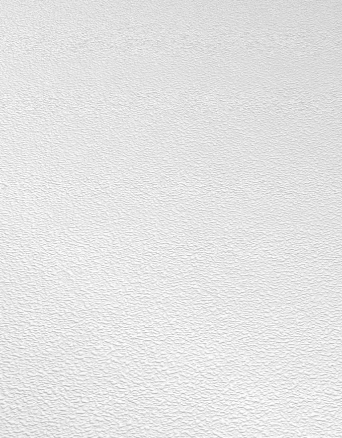 Erismann Vinylbehang 535910 - RollOver27 - Overschilderbaar Wit - 53cm x 10.05m