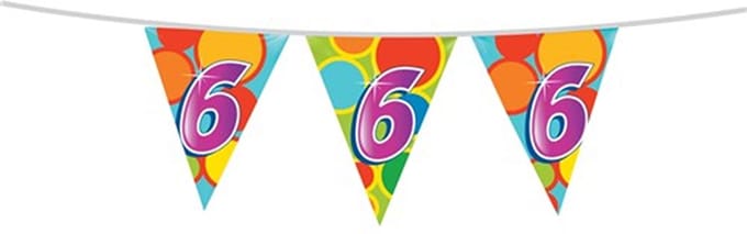 Haza Vlaggenlijn 6 jaar - 10 meter - plastic - 6e verjaardag versiering - leeftijd slinger