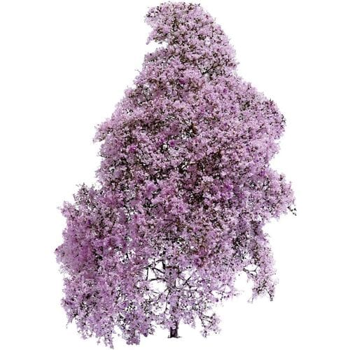 Busch 3587 Struik Lente Lila, Bloeiend