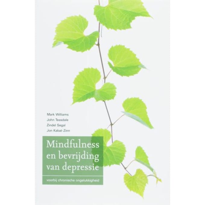 Mindfulness En Bevrijding Van Depressie - Mark Williams