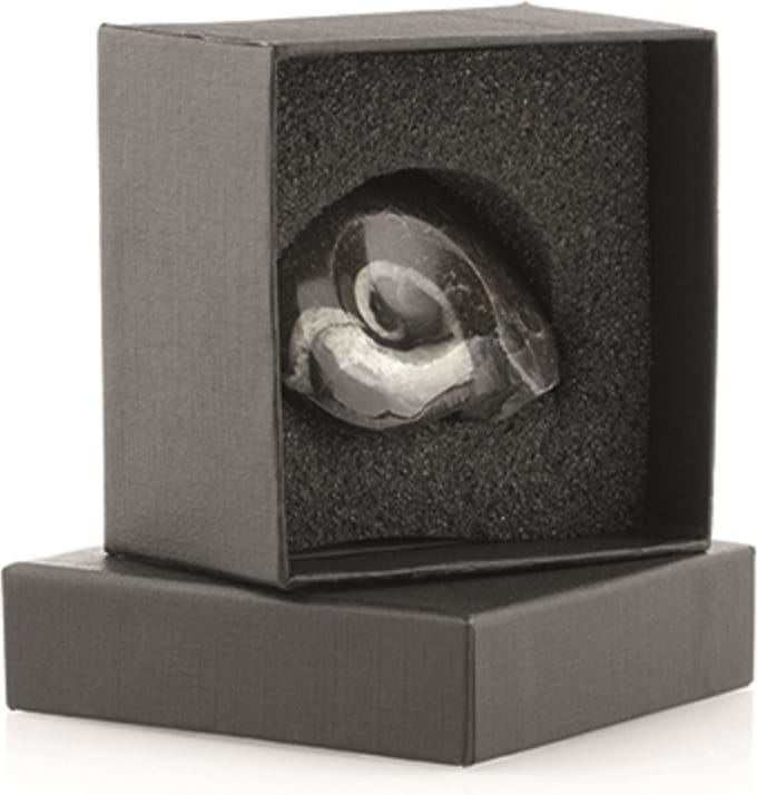 Giftdoosje Goniatiet