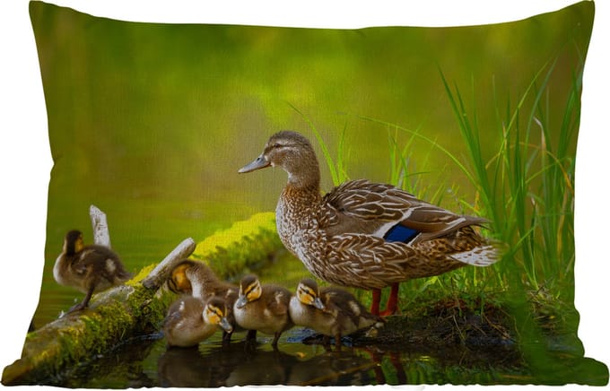 Buitenkussens - Tuin - Eend - Vogels - Water - Tak - Mos - 50x30 cm