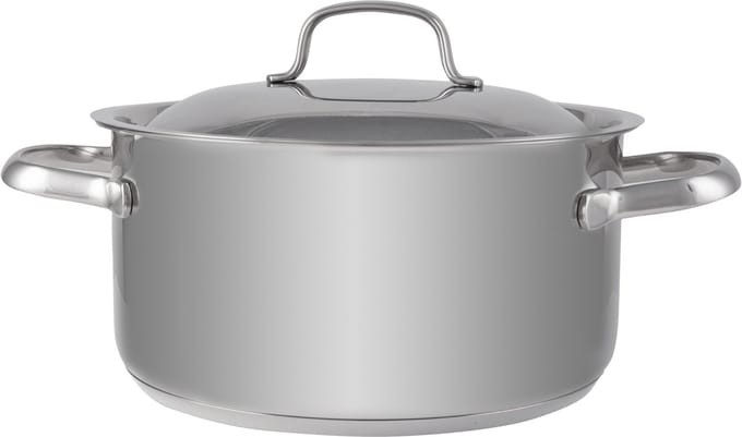 Daily Kookpot Met Deksel D20xh10cm Roestvrij Staal 3l