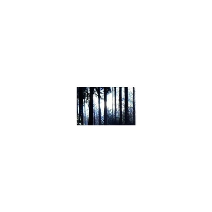 Anom Vitruv - 6.4311 (CD)