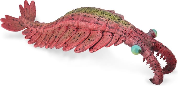 COLLECTA Figurine - Anomalocaris - (L) - Prehistorie - Handgeschilderd - Miniatuur