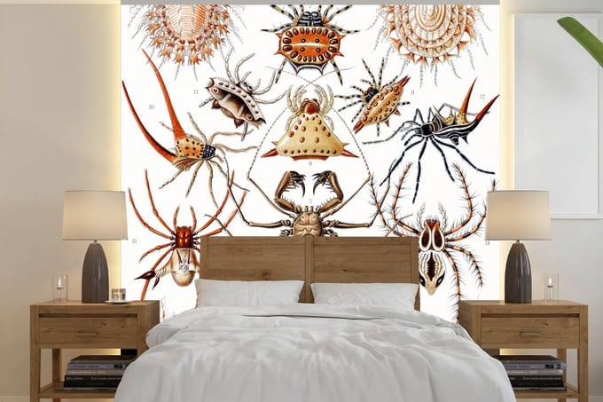 Behang - Fotobehang Retro - Spin - Ernst Haeckel - Spinnen - Breedte 280 cm x hoogte 280 cm