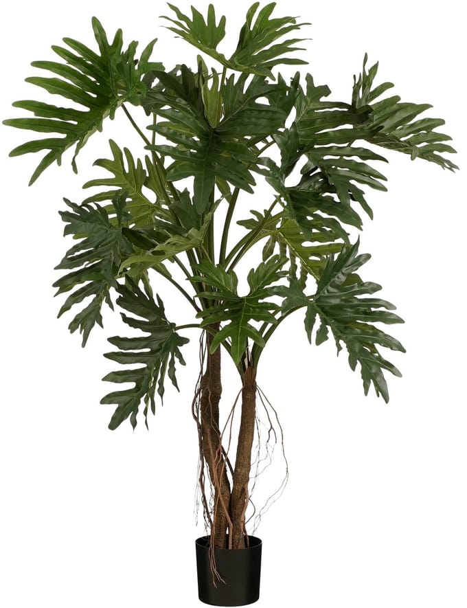 Philodendron in pot green - h140xd110cm