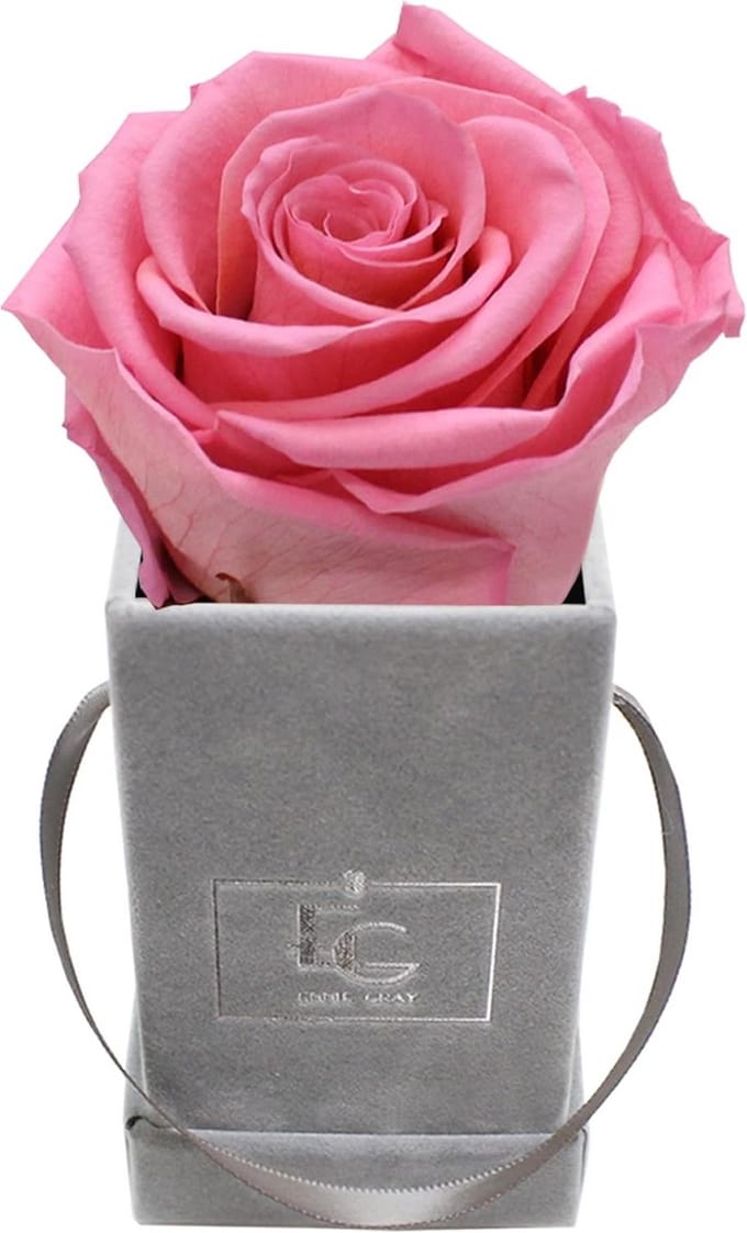 Eeuwig Rozen in Luxe Vierkante Fluweel Doos, Rozen Box met Lange Houdbaarheid