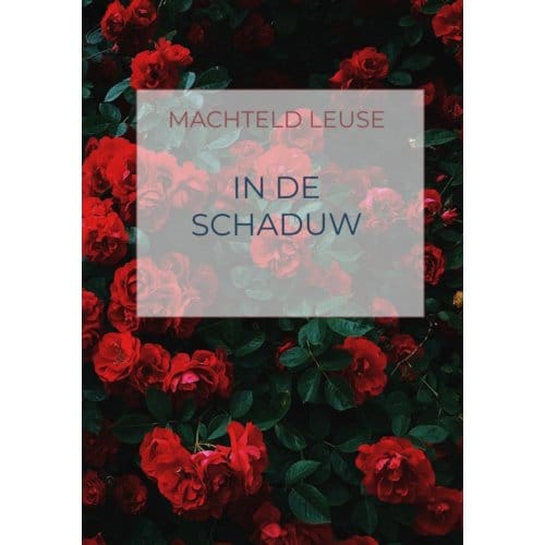 In De Schaduw - Machteld Leuse