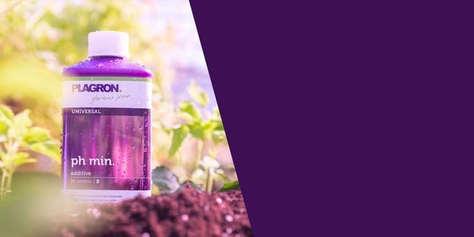 Plagron pH min 1 ltr