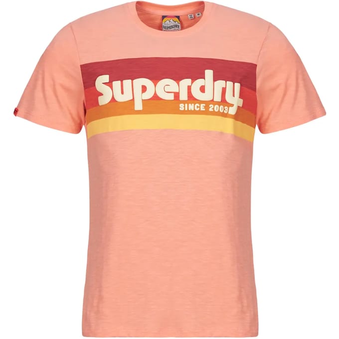 Superdry Terrain Logo Stripe Relxed T-shirt Met Korte Mouwen M Man