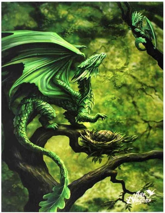 Anne Stokes - Forest Dragon - Canvas afbeelding
