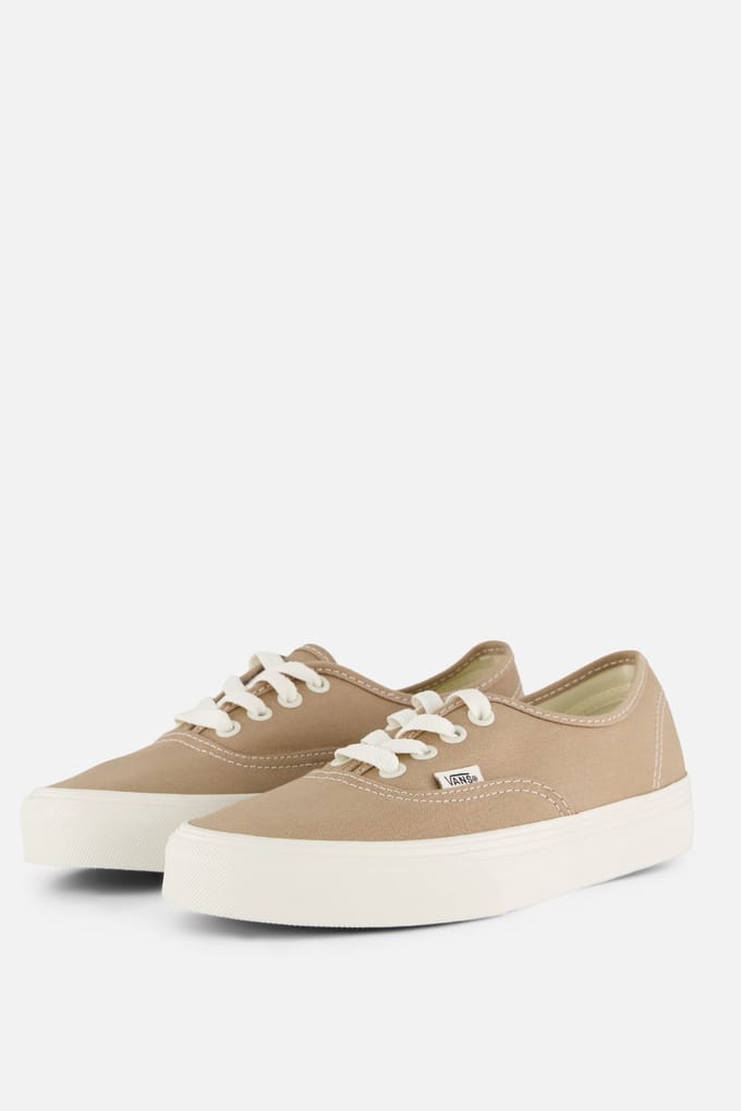 Vans Vans Authentic Color Theory taupe Canvas