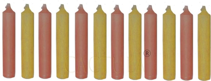 Cactula Dinerkaarsen 12 cm Set van 12 in 2 kleuren - Gewas | Curry / Siena
