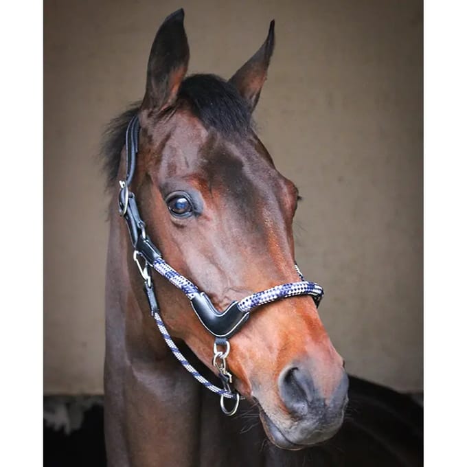 Reis halster voor paard Jump'In Collection One