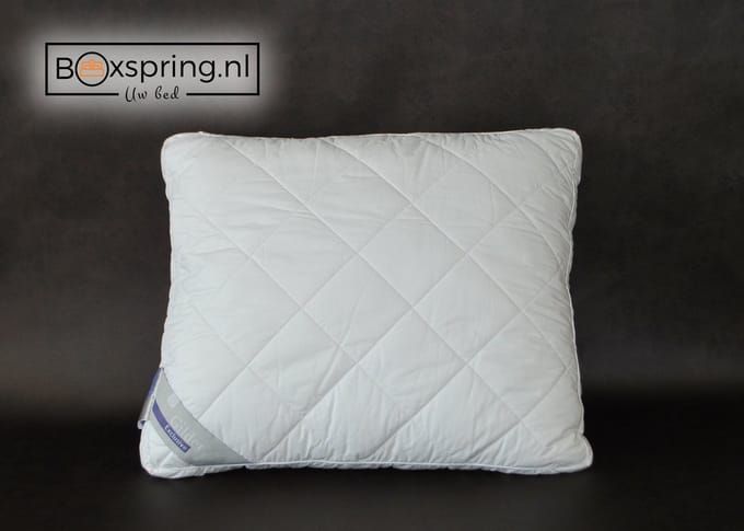 Gilder hoofdkussen Synthetisch Exclusive firm, 60x70cm
