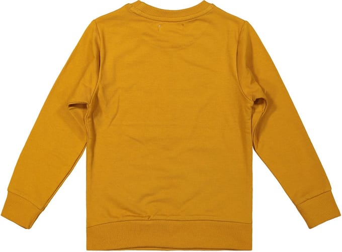 DJ Dutchjeans Jongens Sweater Go Away Camel
