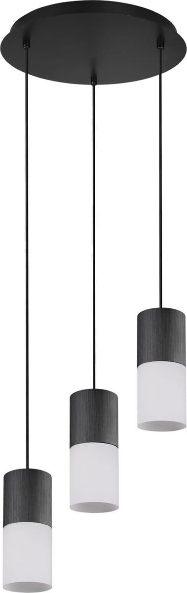 Hanglamp Trio Leuchten Robin - Zwart