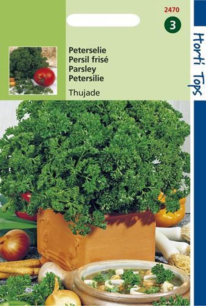 Hortitops Zaden - Peterselie Thujade Orig. Donkergroene