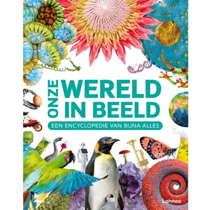Onze Wereld In Beeld
