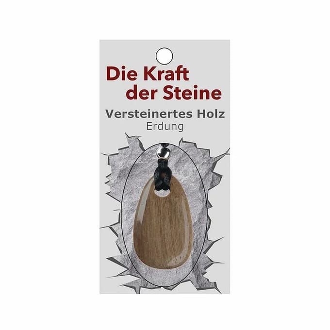 Hanger met Krachtsteen Versteend Hout