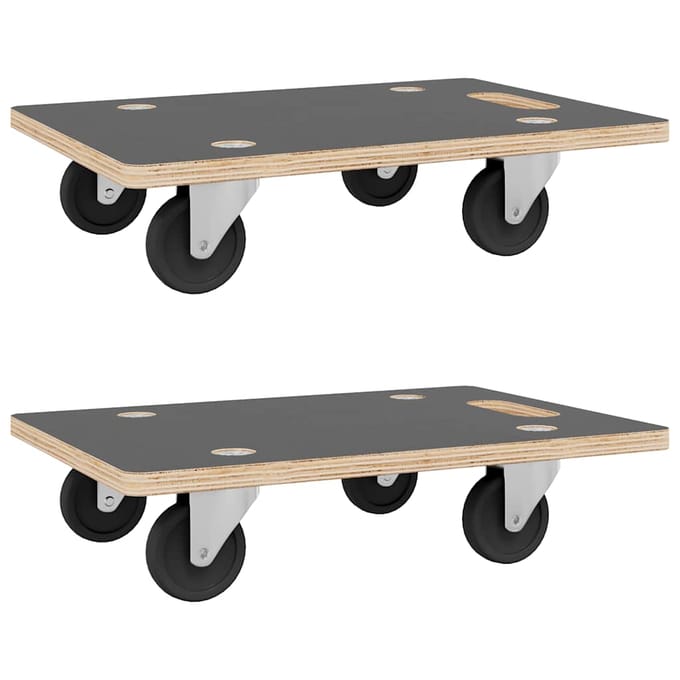 Ensemble de rouleaux de transport (2 pcs) Rectangulaire 50 x 35 x 11,5 cm Capacité 250 kg