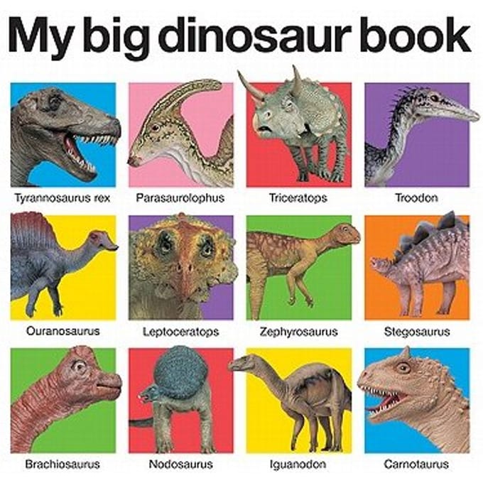 My Big Dinosaur Book Casebound - ROGER PRIDDY