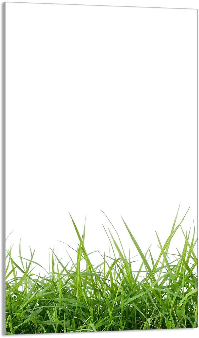 TMK ArtDeko - Snijplank - Glas - 30x52 cm - Wit