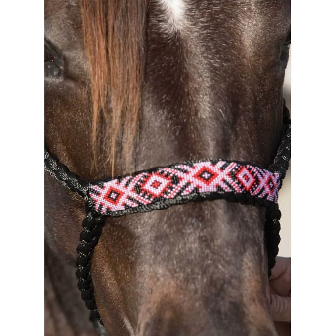 Leren halster voor paarden Professional's Choice