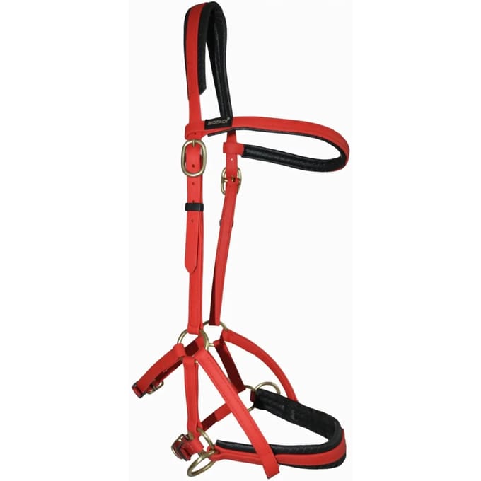 Hoofdstellen T de T Sidepull Biotack®