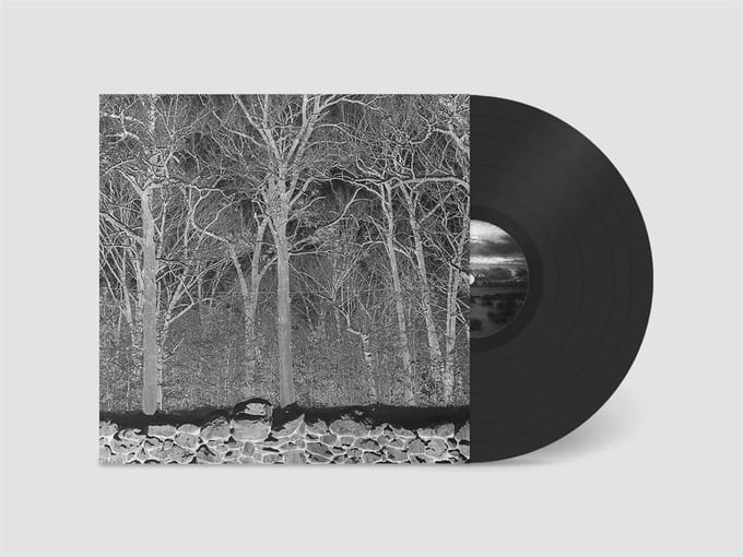 Pile - Sunshine And Balance Beams (LP)