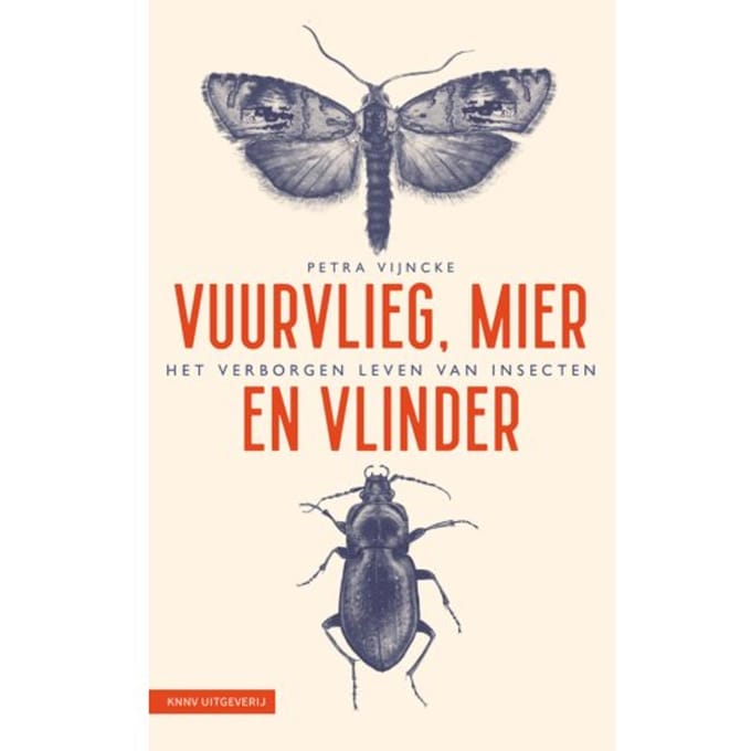 Vuurvlieg, Mier En Vlinder - Petra Vijncke