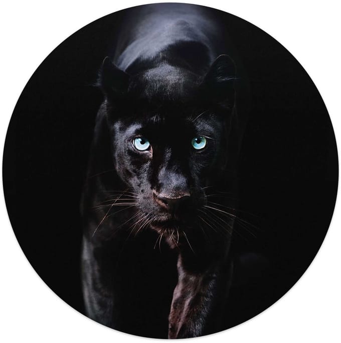 Plexiglasschilderij Zwarte Panter - Ø 50 - Acrylglas - REINDERS