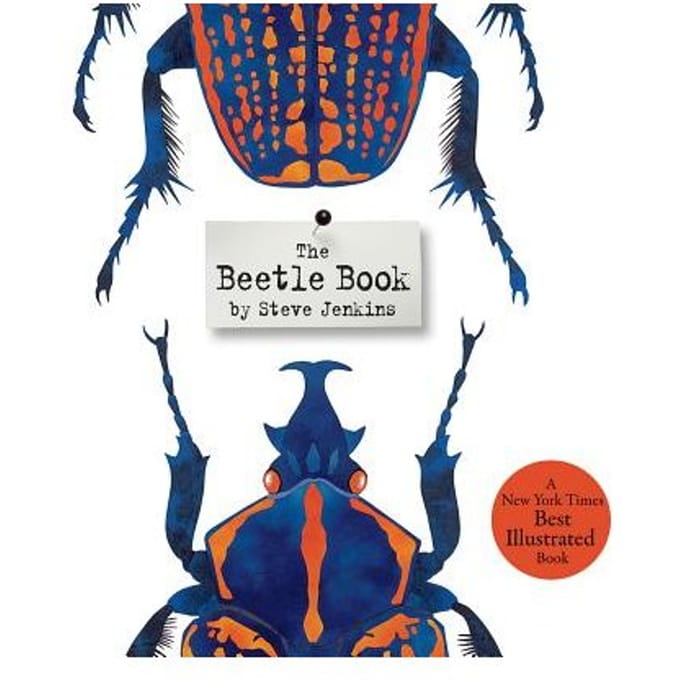 Beetle Book - Steve Jenkins