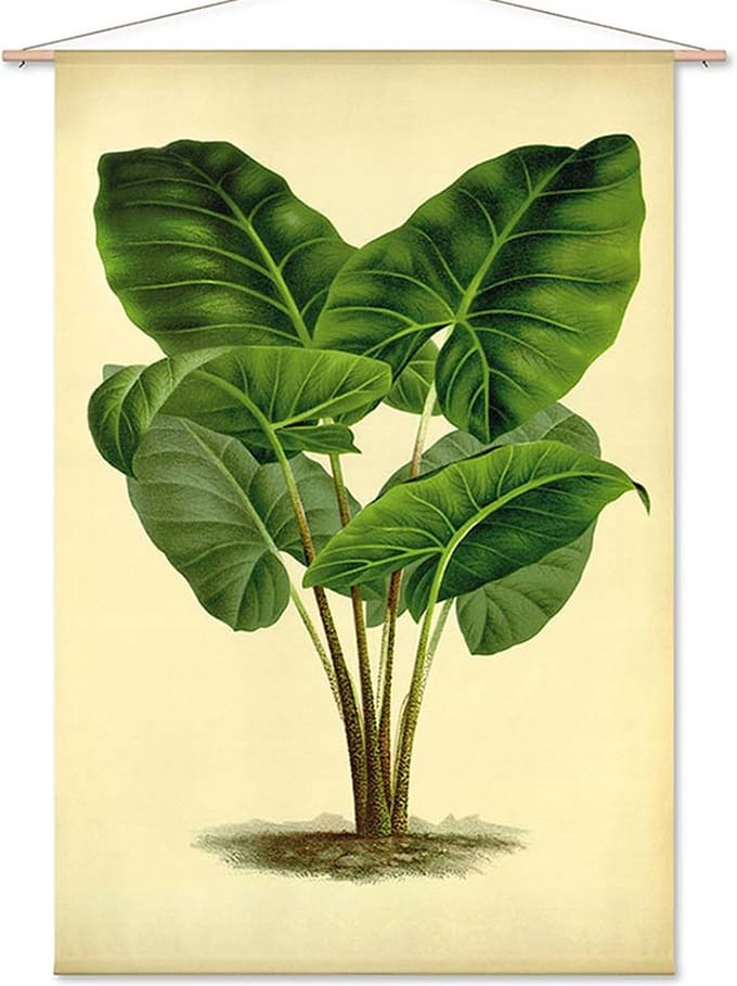 Wanddoek Olifantsoor (zonder houten stokken)