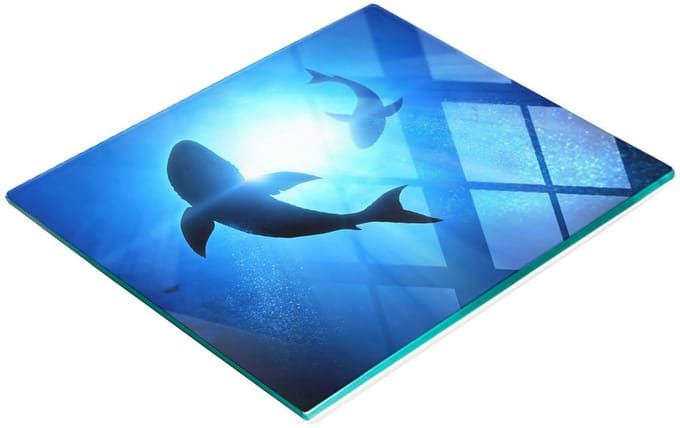 Keukenplank van gehard glas met decoratieve afbeelding van twee haaien, 60x52 cm