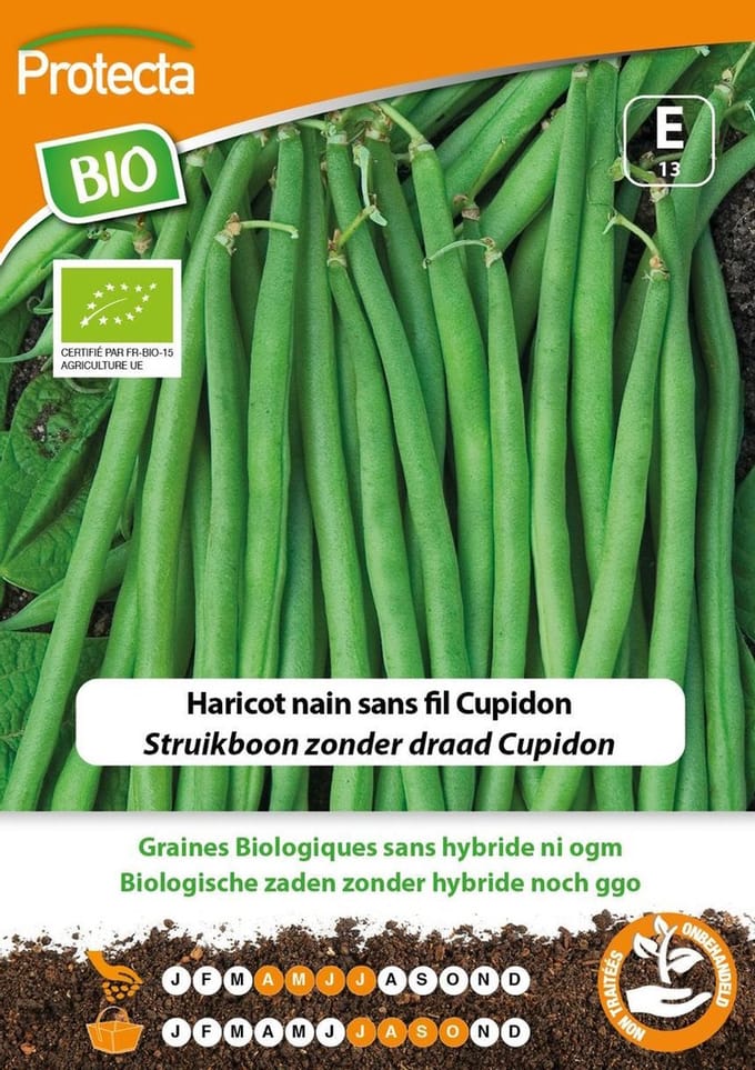 Protecta Groente zaden: Struikboon zonder draad Cupidon Biologisch