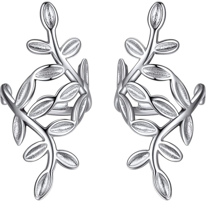 ChicSilver