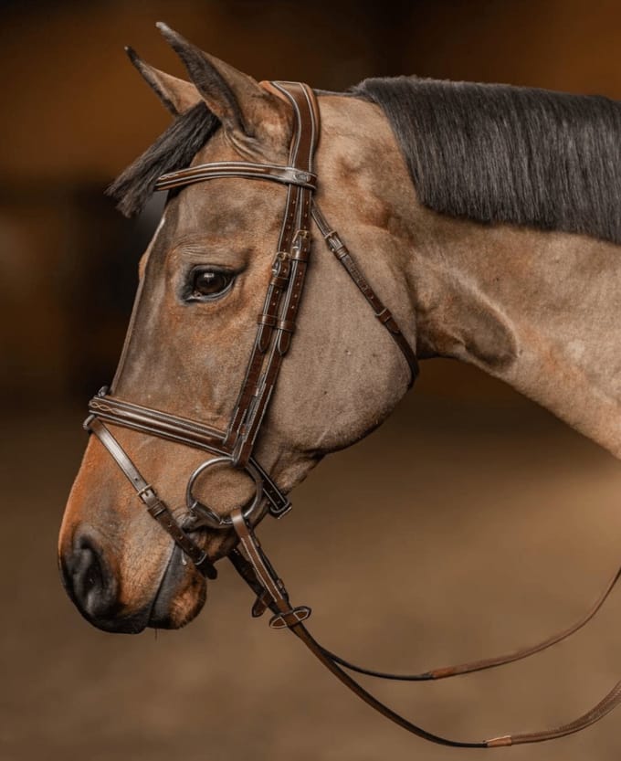 HFI Hoofdstel Pro Line Milano Cob Bruin