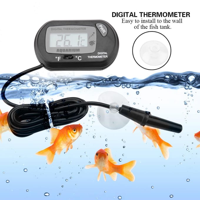 Kleine Digitale Aquarium Thermometer Temperatuur Meetapparaat Machine Zwart zwart