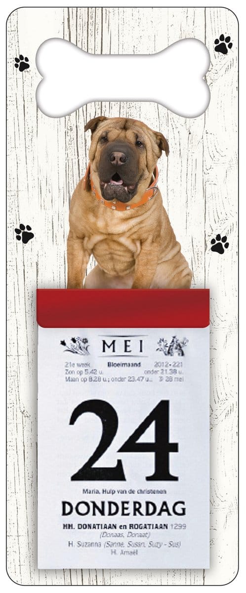 Scheurkalender 2027 Hond: Shar Pei