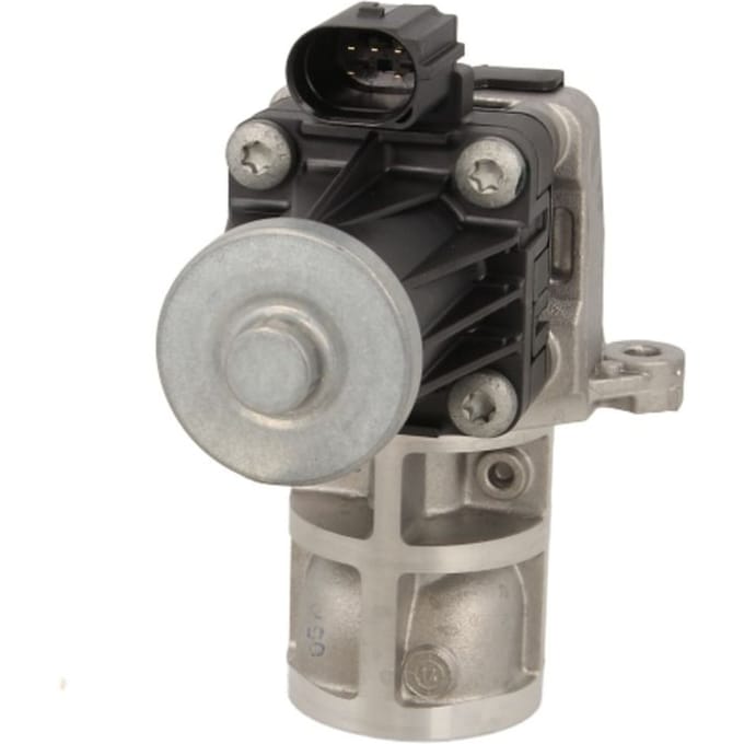 EGR-klep PIERBURG 7.03295.03.0