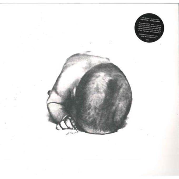 Liquid Idiot & Idiot Orchestra - Liquid Idiot / Idiot Orchestra (LP)